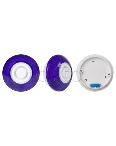 Оповещатель комбинированный SLT Марс 12-КП (строб, син) в Керчи Оповещатели Pintop.ru